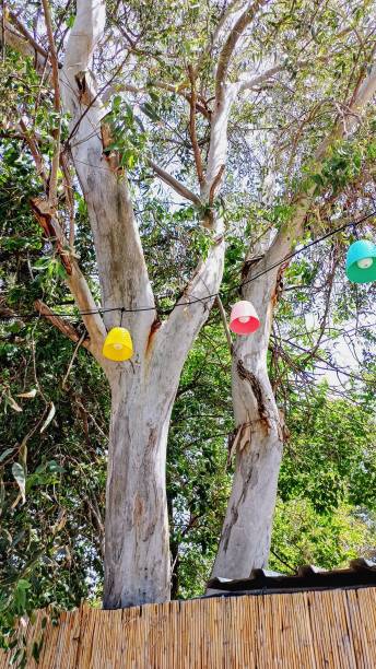 istock street, tree lighting, decorative colorful lamp 2158310864