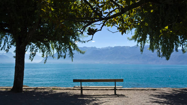 istock Empty bench by the Leman lake, Switzerland 2158311526