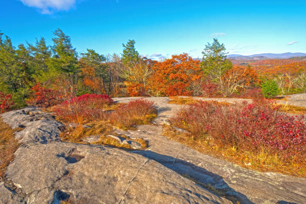 istock Autumn Colors on a Flat Rocky Ridge 2158315020