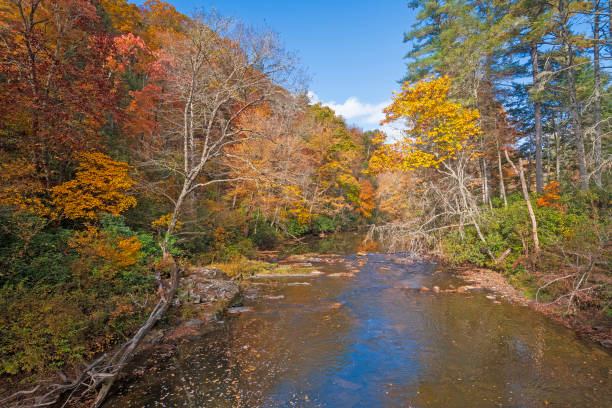 istock Fall Colors on the Linville River 2158315036