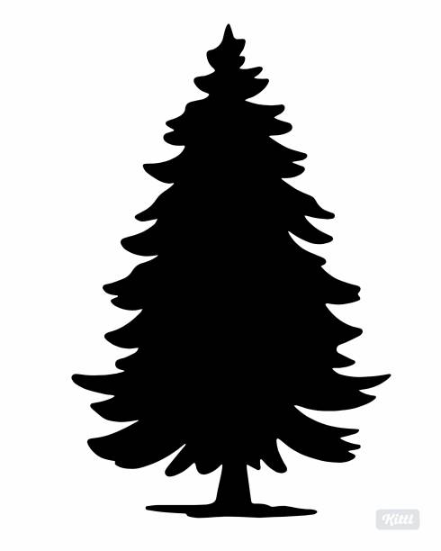 Free sitka spruce stock photos. Download the best free sitka spruce ...