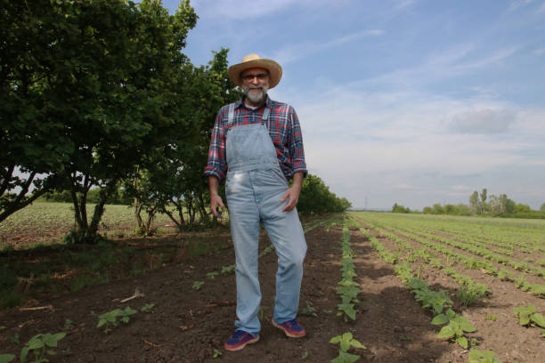 istock Bearded farmer fruit plant maintenance 2158318428