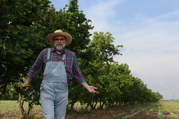 istock Bearded farmer fruit plant maintenance 2158318452