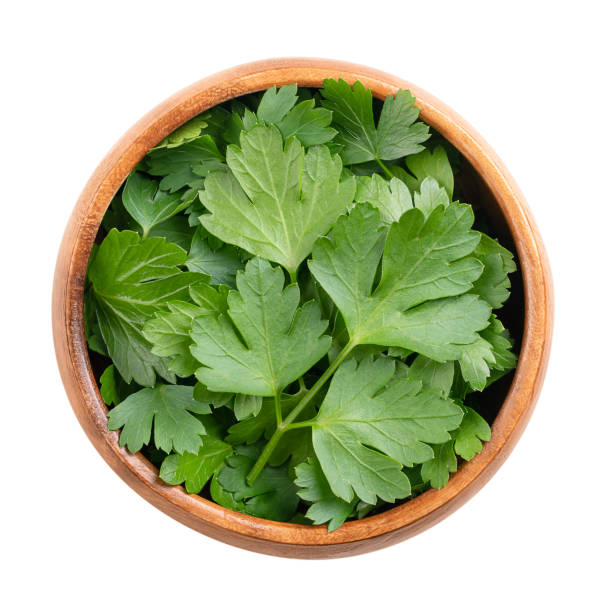 istock Fresh flat leaf parsley  in a wooden bowl, from above 2158321575