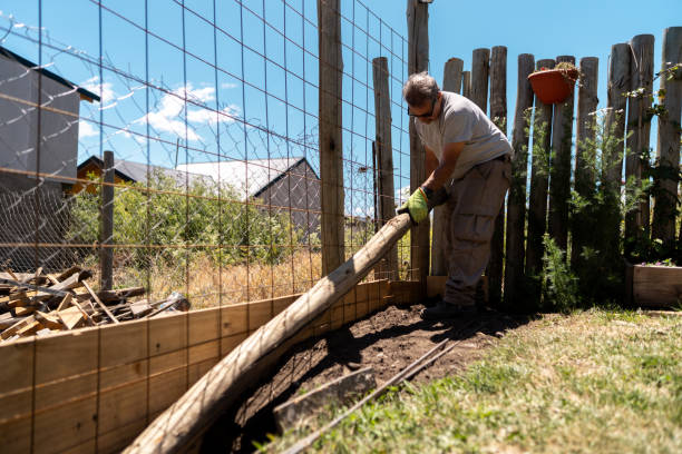 istock Senior man working holding a tree trunk in a house garden 2158322819