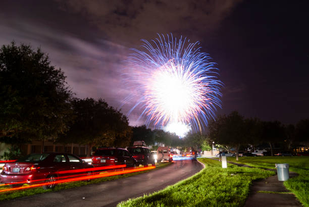 Purple fireworks bloom on the dark sky