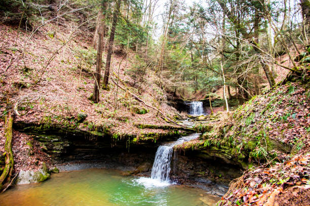 Two layers of waterfalls are displayed in this time lapsed image.  The small creek in the Piatt Park gorge area is in Monroe County outside of Woodsfield Ohio.  The clear water creek runs off the image to the left.  This is a county run public park in southeastern Ohio.