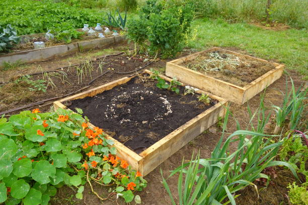 istock one square meter raised wooden beds for urban cultivation 2158330239