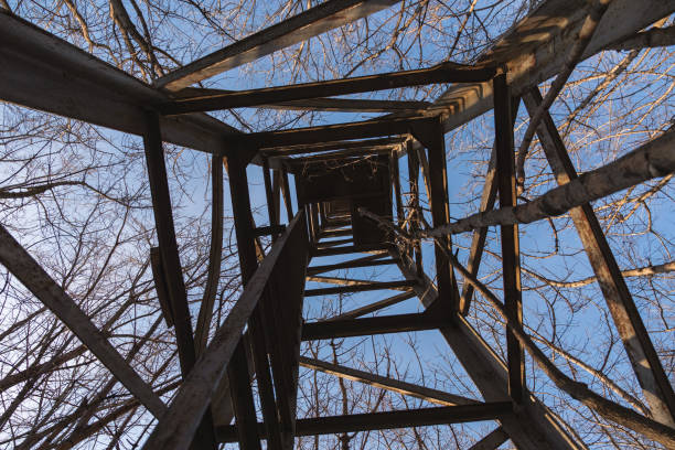 An upward view of a tall, metallic tower with a geometric grid pattern, surrounded by bare trees, against a clear blue sky, creating a sense of depth and height