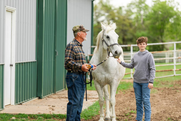 istock Preteen boy looks at camera while caring for horse 2158342190