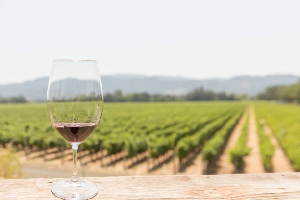 istock A glass of red wine in a vineyard 2158344595