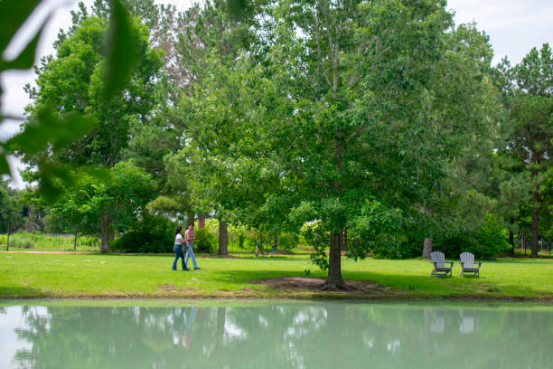Family is enjoying a picnic lunch in a park with a peacock approaching them