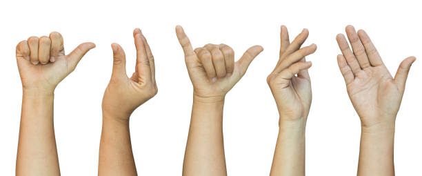 istock Set of hand gestures Isolated on white background, clipping path. 2158350513