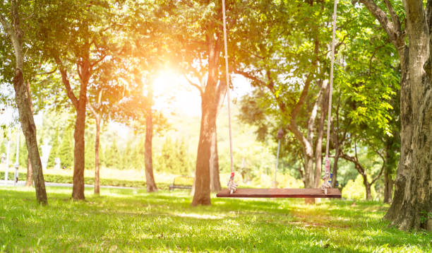 istock Empty wooden swing hanging in the green park in spring over blur background. 2158351165