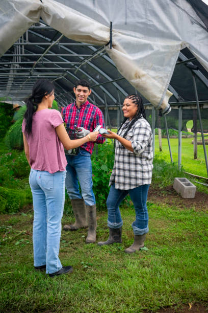 Woman purchases vegetables from local farmer