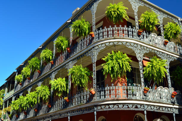 istock Plants hang from the balcony 2158352532