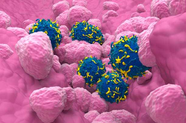 istock CAR T cell therapy in Lung Cancer - closeup view 3d illustration 2158355223