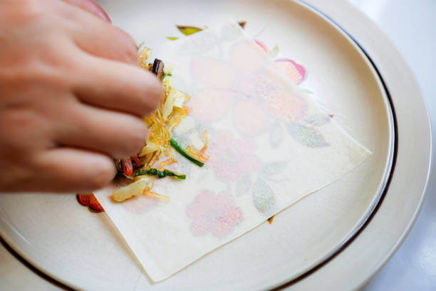 istock Photo of chef wrapping vegetarian spring rolls on a plate in a home kitchen. 2158355345
