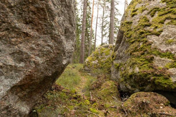 istock Huge stone boulders in the Swedish forest with moss and lichen. 2158356487