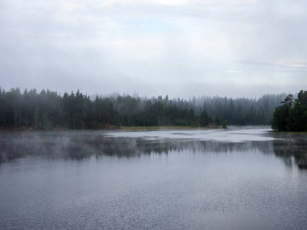 istock morning landscape with fog 2158357976