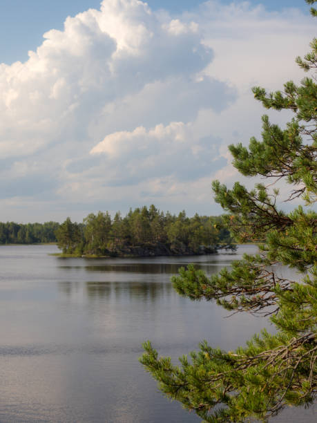 istock rocky island on a forest lake 2158357991