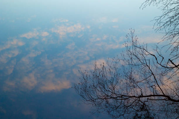 Artistic reflections of spring forest in the lake's surface. Swedish scenery with water and trees.