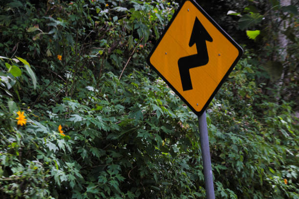 istock Yellow road sign with curvy black arrow 2158359749
