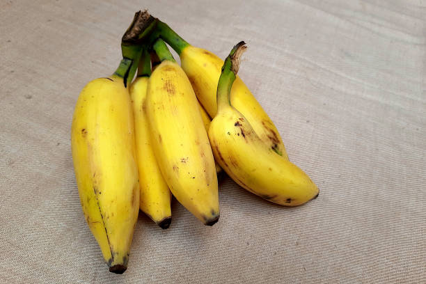 istock Bunch of Bright Yellow Banana 2158363403