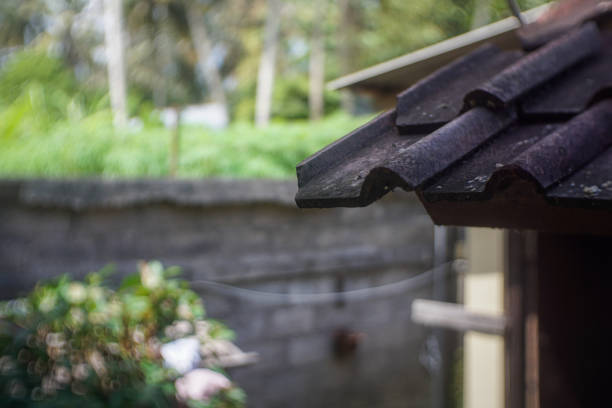 Close-up of weathered roof tiles with moss and lichen, overlooking a lush green garden with a stone wall.