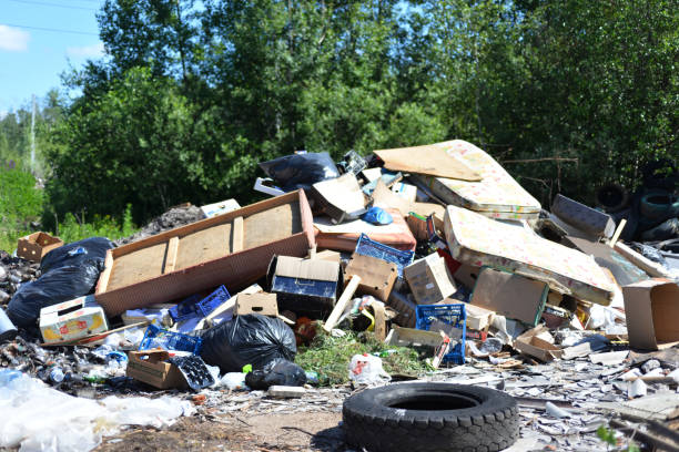 istock Garbage dump against the background of the forest 2158368862