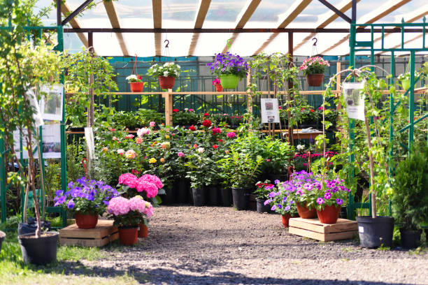 Flower shop outdoors