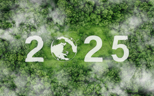istock 2025 New Year concept for Sustainable environment development goals on Top view nature. SDGs, ESG, Net Zero, and emission carbon neutral concept.sustainability management environmental for save world 2158369728