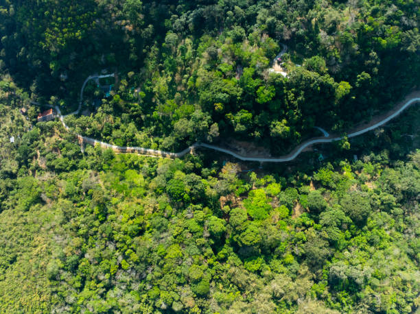 istock Aerial view Drone camera rainforest trees ecology with healthy environment concept and summer background 2158371200