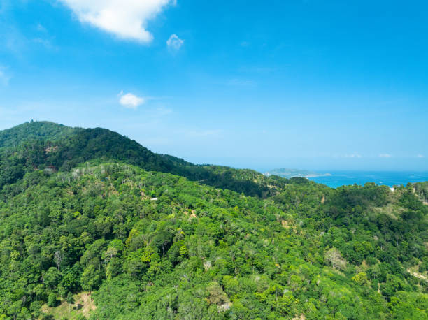 istock Aerial view Drone camera top view rainforest trees ecology with healthy environment concept and summer background,Green environment background 2158371271