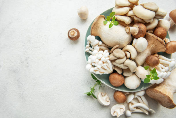 istock Assortment of various raw mushrooms on gray concrete background 2158371621