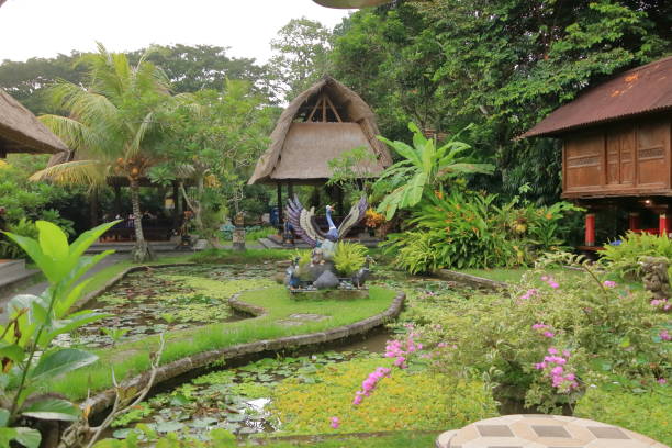 Bali, Indonesia in Asia - January 31 2024: traditional green garden at Bali