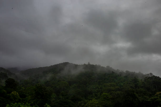 View of the forest mountains and cloud