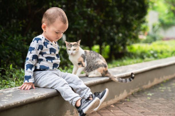 Free Stock Photo of Two cats sitting on a bench | Download Free Images ...