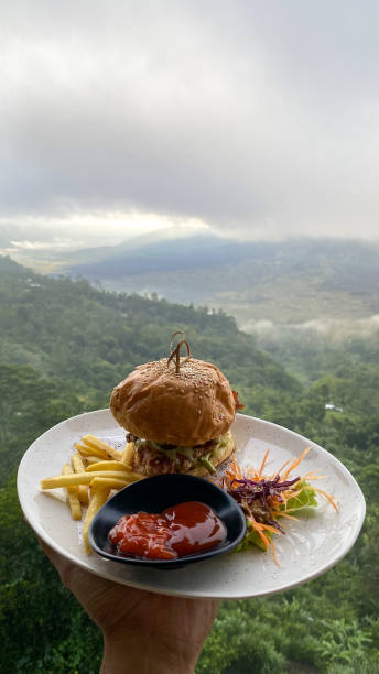 A sandwich and fries on a plate with a view of the mountains