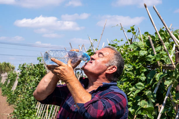 istock Farmer drinks water on a hot day. Real people. 2158379922