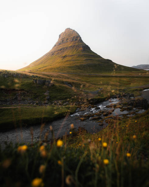 Green field by Church Mountain, Iceland