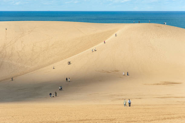 Tottori Sand Dunes, Tottori, Japan - October 18th, 2021: Tourists visit the Tottori Sand Dunes against the background of the Sea of Japan. Tottori Sand Dunes are located in Tottori Prefecture and are one of the region's biggest tourist attractions.