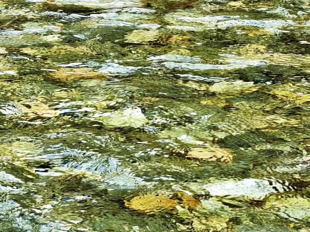 istock Water Ripples Over The Smoothed Stones in a Riverbed 2158381205