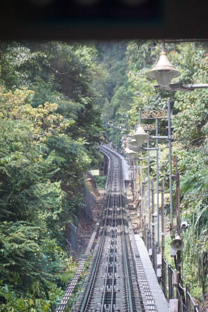 istock A train is traveling down a track in a forest 2158381912