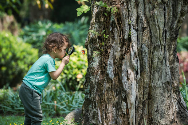 toddler with a magnifying glass in a forest