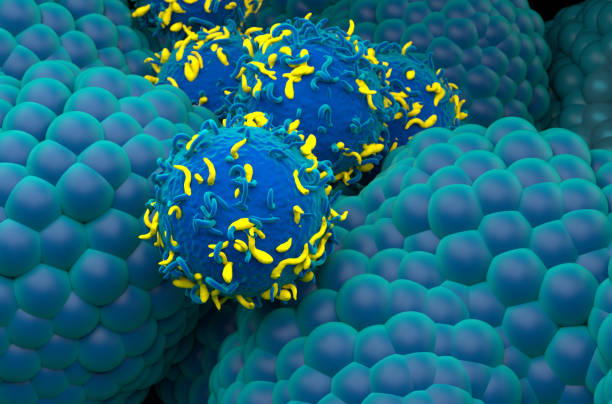 istock CAR T cell therapy in Prostate cancer - closeup view 3d illustration 2158381947