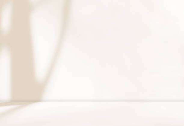 istock Empty cream brown beige room studio with shadow of tree for product presentation. 2158384844