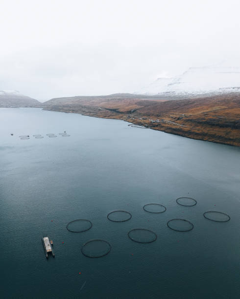 istock Sea fish farm on the Faroe islands 2158385678