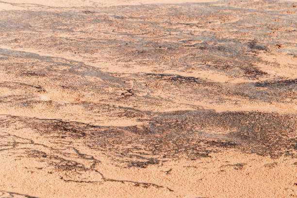 istock Abstract relief rough gritty neutral beige surface of background texture. Aesthetic pattern on sandstone. Top view textured sand, natural ornament or wallpaper, macro photo shore salt lake 2158386215