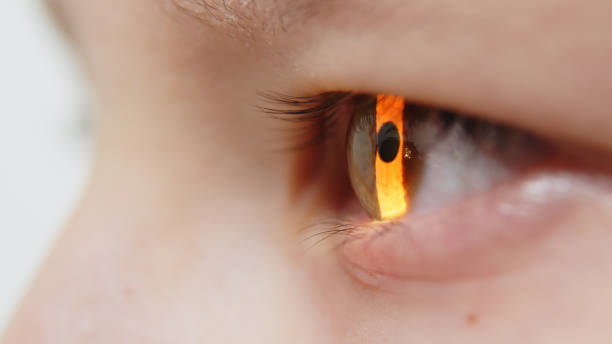 istock A little patient undergoes an eye test by a professional optometrist using modern diagnostic equipment in an ophthalmology clinic. 2158392986